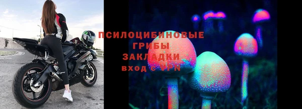 ГАЛЛЮЦИНОГЕННЫЕ ГРИБЫ Протвино