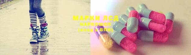 дмт Приозерск