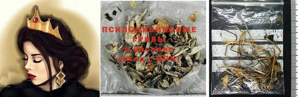 дурь Белоозёрский