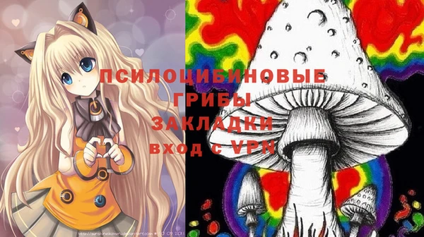 гидра Беломорск