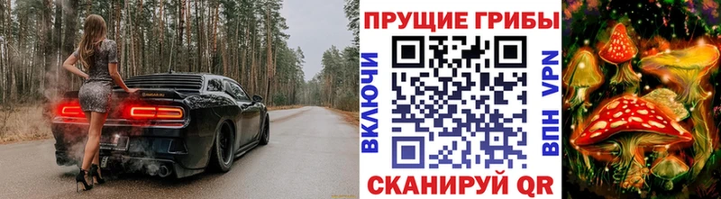 продажа наркотиков Куртамыш Псилоцибиновые грибы MAGIC MUSHROOMS